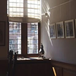 10 Pack SHADES Molding Hook Kit With Perlon Cord And Zipper (White, 59" Perlon Cord) 8 10 Pack SHADES Molding Hook Kit With Perlon Cord And Zipper (White, 59" Perlon Cord) -Tile Nest Sales Store 0ad57895 fca4 449f 941a 051b54ffe4ae 1.112d35f1ddda4b4f45a8d408d7dc09ad 1800x1800