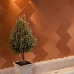 Acp A53 Aspect -Tile Nest Sales Store 26852555 136d 40d0 b4cf 24e668749d53.cd85dcf910e245d140bff04197dbc62b 1800x1800