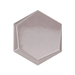 Magen Leveled-Hex Gray Polished Ceramic Hexagon Tile -Tile Nest Sales Store 34a735cd 0a49 41c8 a9f0 ab8e751edc16.a85377e38893e46f0713a83e1bd27699 1800x1800