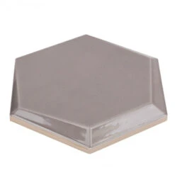 Magen Leveled-Hex Gray Polished Ceramic Hexagon Tile -Tile Nest Sales Store 76ad6830 59db 475c 94ef b176f2707c43.7203eb89c62ec706d7410383daad13b1 1800x1800