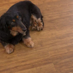 Cali Bamboo Cali Vinyl 10-Piece 7.125-in X 48.03-in Java Luxury Locking Vinyl Plank Flooring -Tile Nest Sales Store 811465027521 08071466 1800x1800