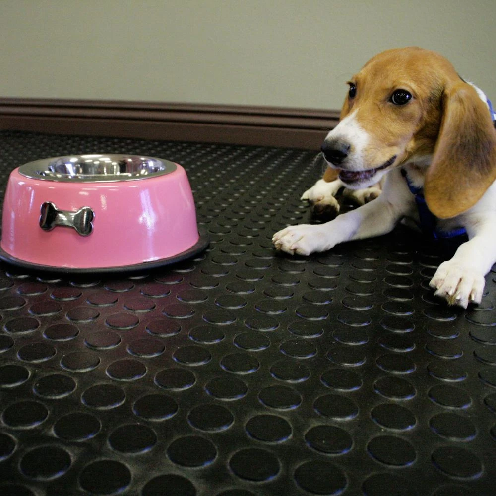 Rubber-Cal Coin Grip 4 Ft. X 5 Ft. Dark Grey Commercial Grade PVC Flooring 6 Rubber-Cal Coin Grip 4 Ft. X 5 Ft. Dark Grey Commercial Grade PVC Flooring - Image 6