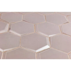 Magen Leveled-Hex Gray Polished Ceramic Hexagon Tile -Tile Nest Sales Store f81e45f2 478c 44b5 a200 360b206a52f5.93807ec4746fcf4738e07808d35dd7be 1800x1800